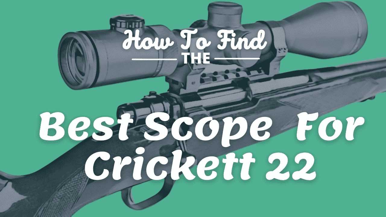 best scope for crickett 22