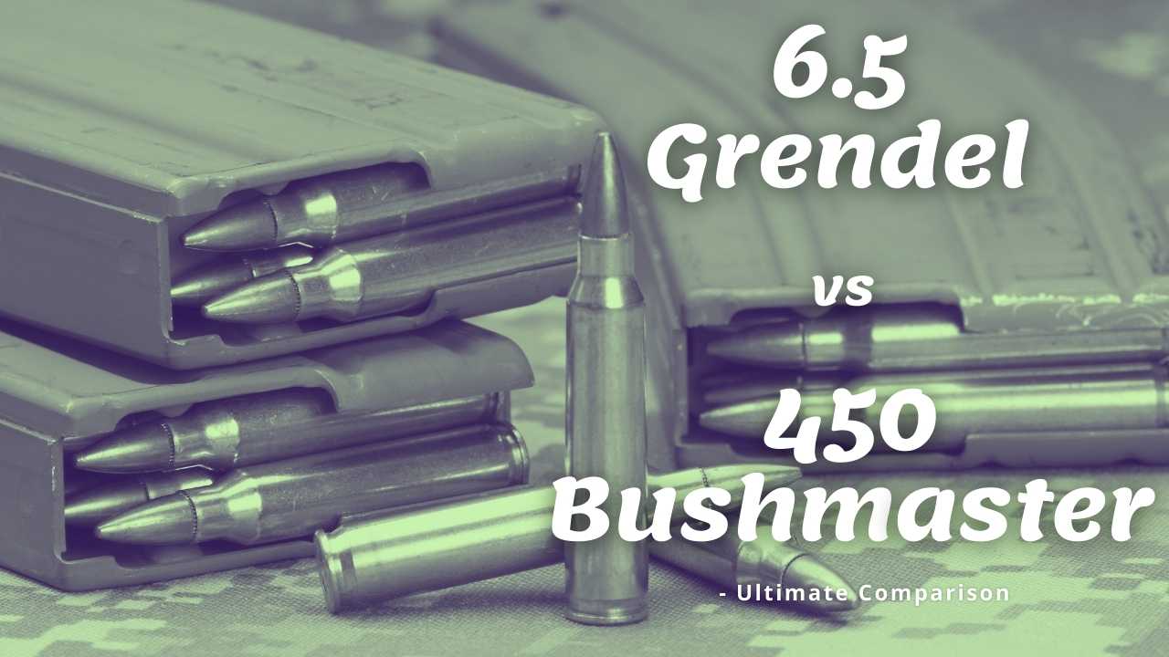 6.5 grendel vs 450 bushmaster