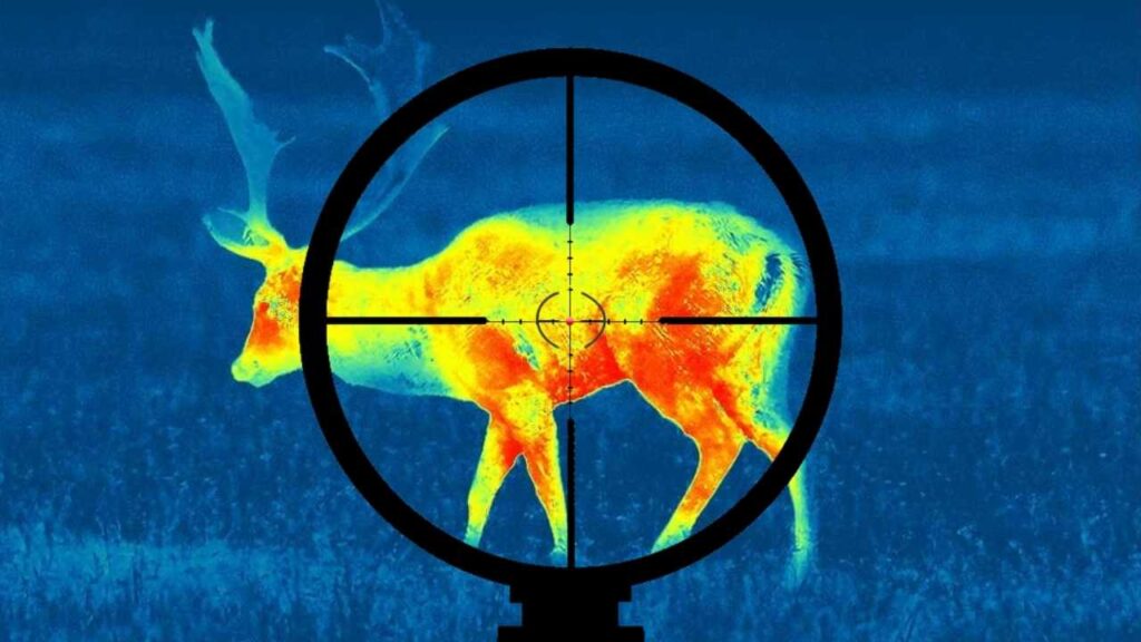 How to Sight in a Thermal Scope? The Ultimate Tips and Setup Guide