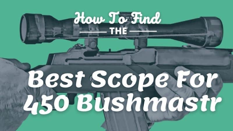 best scope for 450 bushmaster