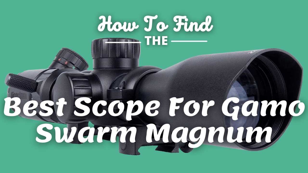 6 Best Scopes For Gamo Swarm Magnum